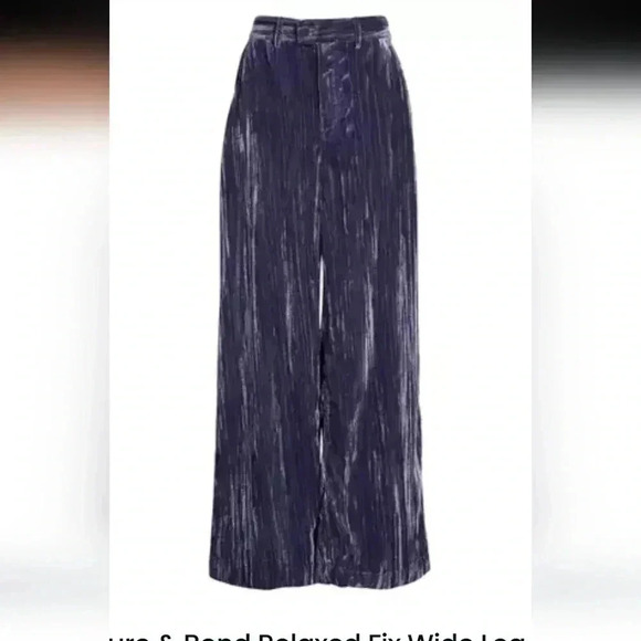 Treasure & Bond relaxed fit wide leg plisse velvet pants nwot size 4 - Picture 1 of 7